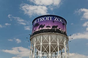 Detroit Zoo: Ideal Time to Go + 2,000 Amazing Animals to See photo