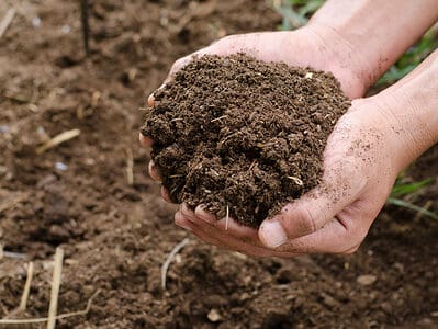 A Which Type of Soil are You?