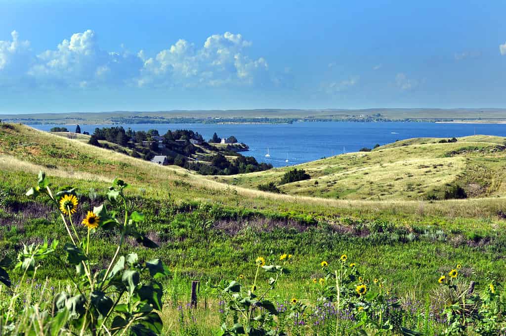 Photograph of Lake McConaughy. The photograph is horizontally layered with a light blue sky with some fleeting fluffy clouds to the left on the top 1/4 of the frame. The middle 1/4 of frame contains a blue gray like with a couple of sale boats and some rocky outcroppings. The bottom half of the frame is devoted to some rolling countryside covered in green vegetation and yellow flowers