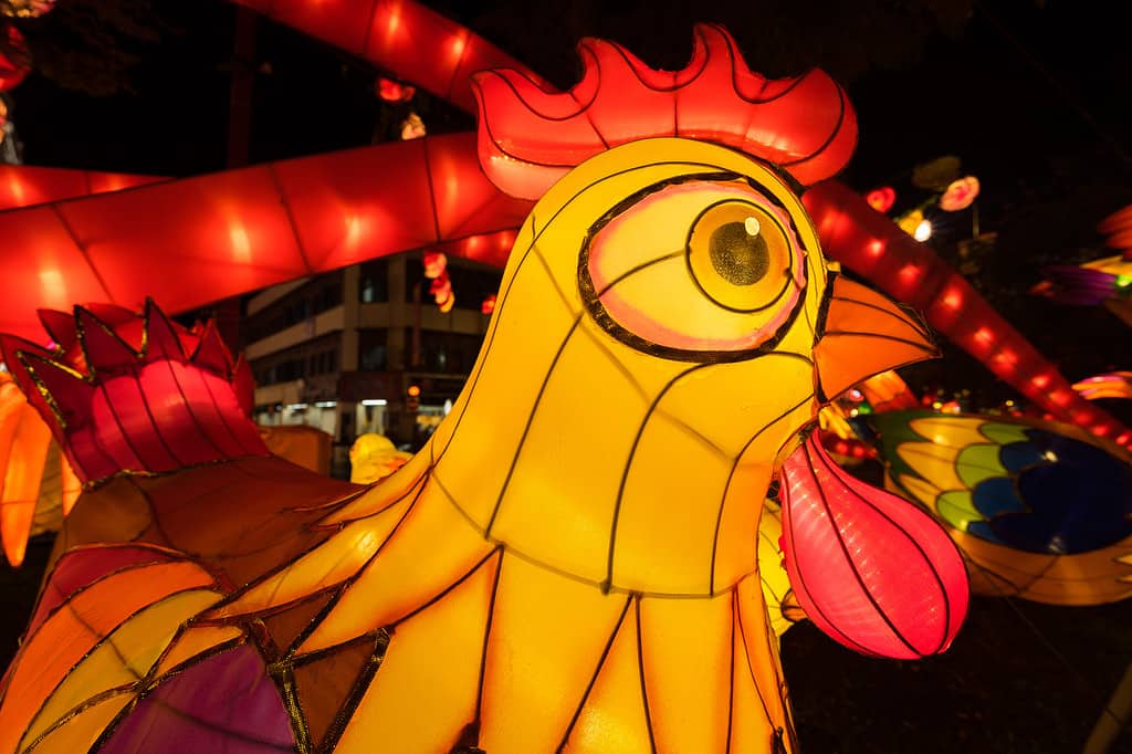 Chinese New Year Celebration Chicken Decoration