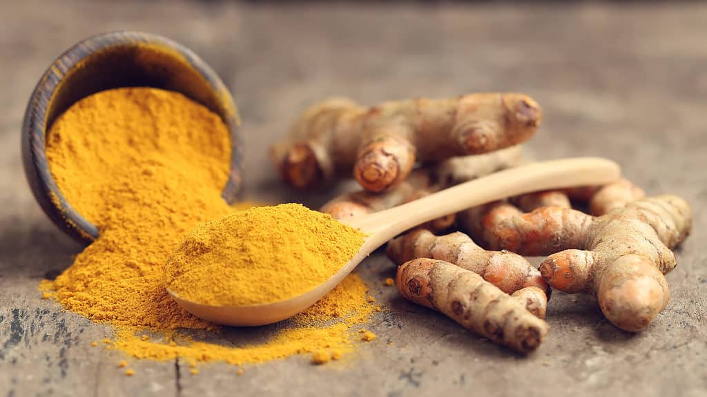 Turmeric powder and fresh turmeric on wooden background.