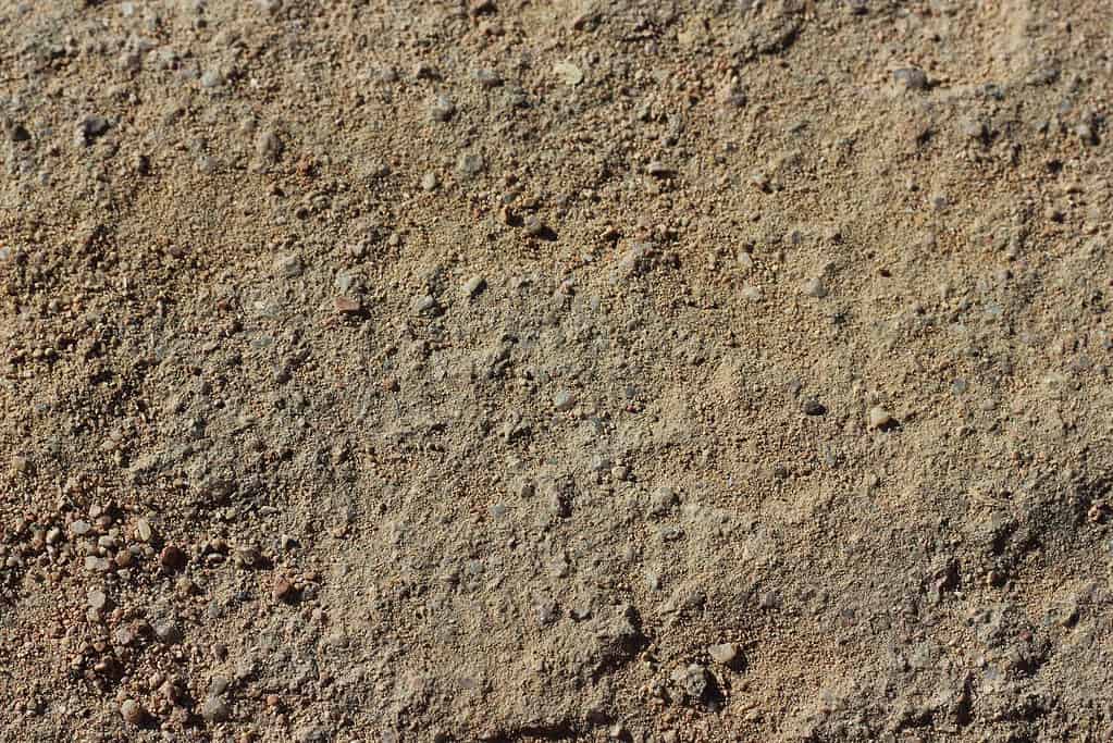 dry stony ground