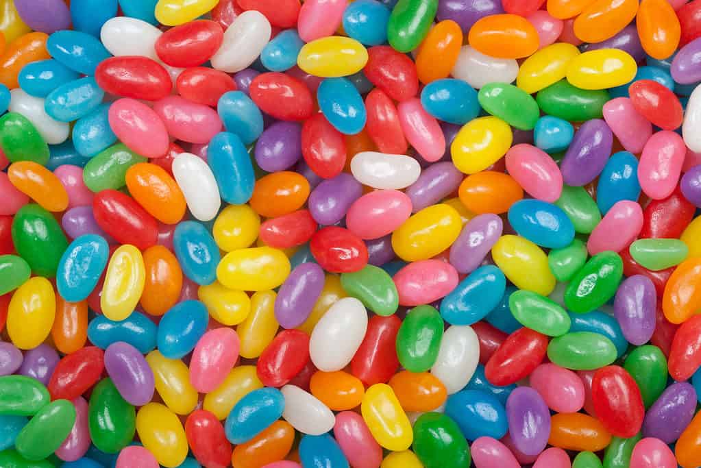 Can Dogs Eat Jelly Beans? - AZ Animals