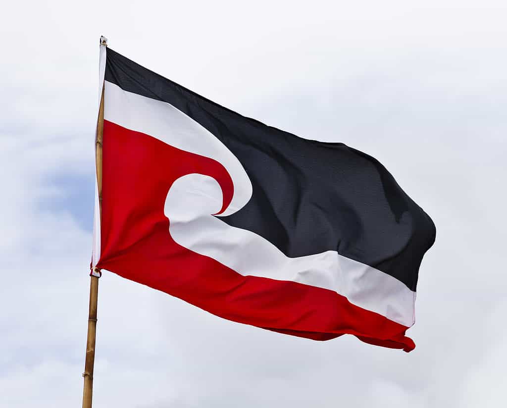 New Zealand Tino rangatiratanga flag, Māori flag