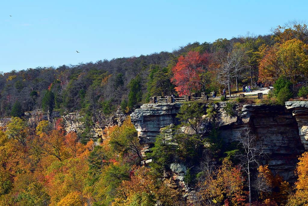 An overlook at Little River Canyon in Alabama