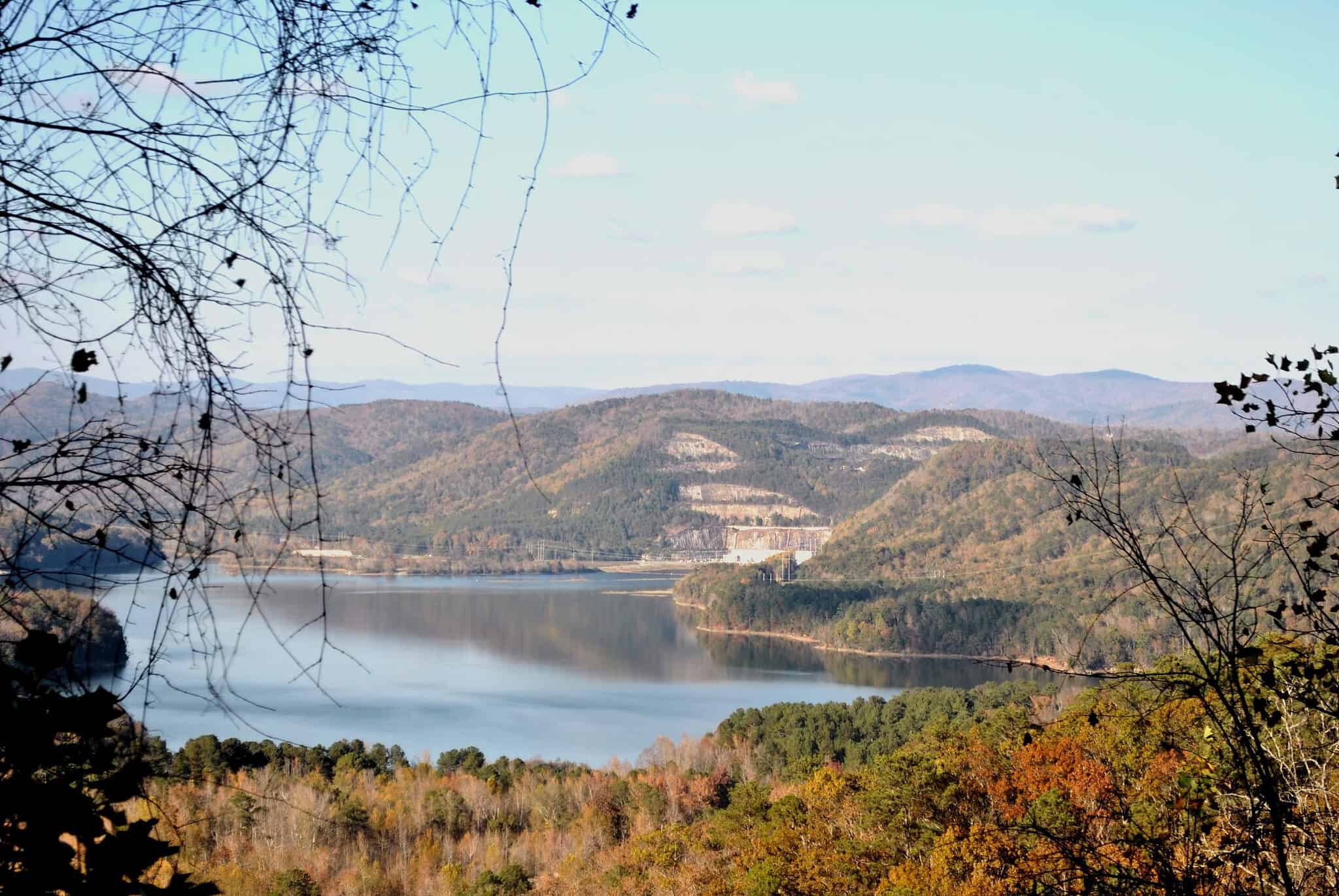 4 Remote Lakes In Georgia To Fish and Swim - A-Z Animals