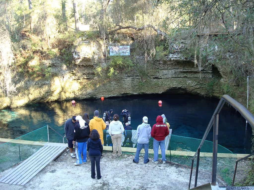 Blue Grotto in Williston, Florida