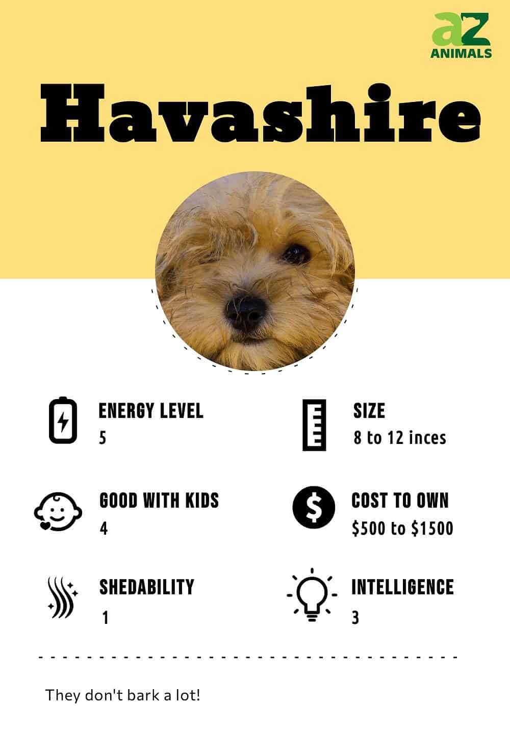 Havashire Animal Facts Canis lupus A Z Animals