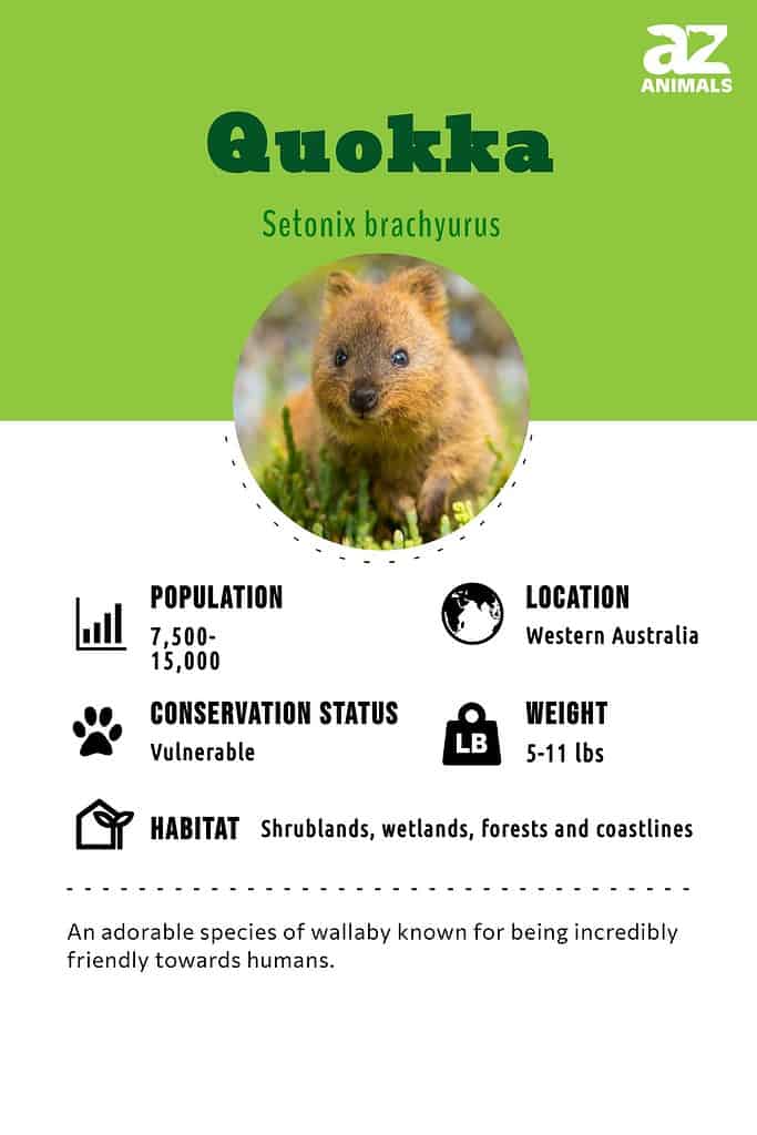 Quokka Habitat Map