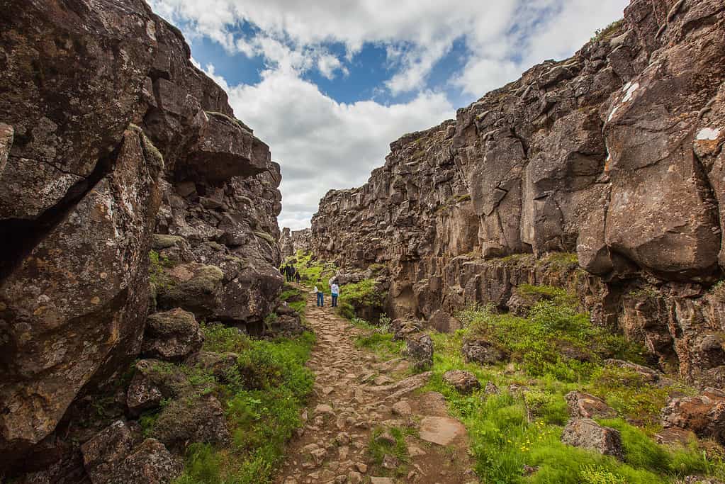 Continental Plates