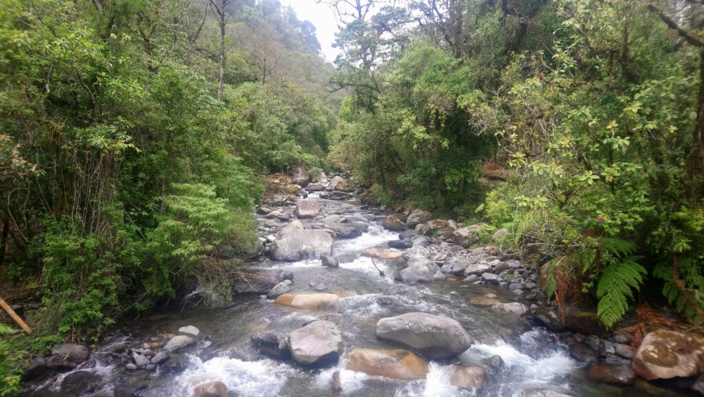 Darién National Park