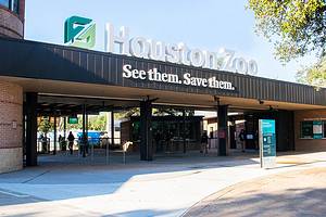 Houston Zoo: Ideal Time to Go + 6,000 Amazing Animals to See Picture