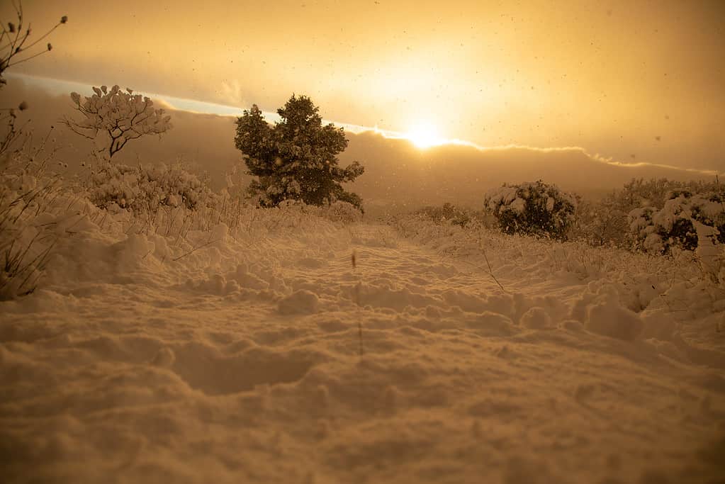 Indiana Snowstorm