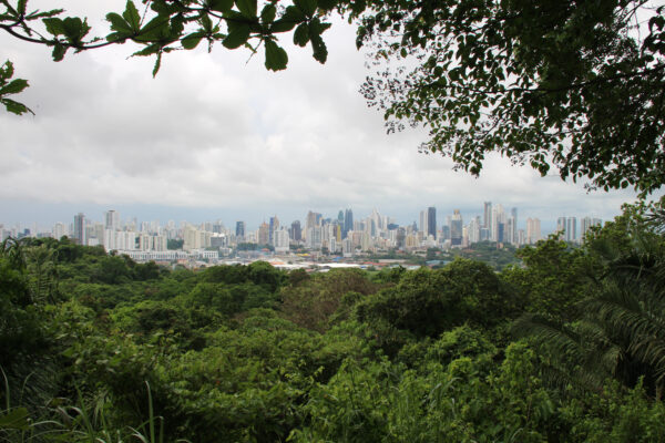 Metropolitan Natural Park is a stunning protected park in the heart of Panama City.