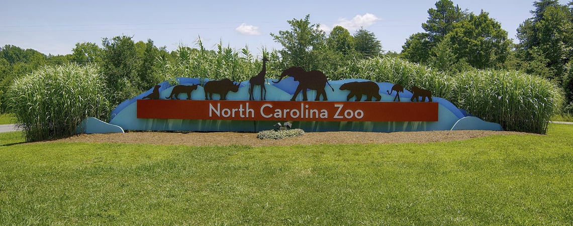 Discover the Largest Natural Habitat Zoo in the World - A-Z Animals