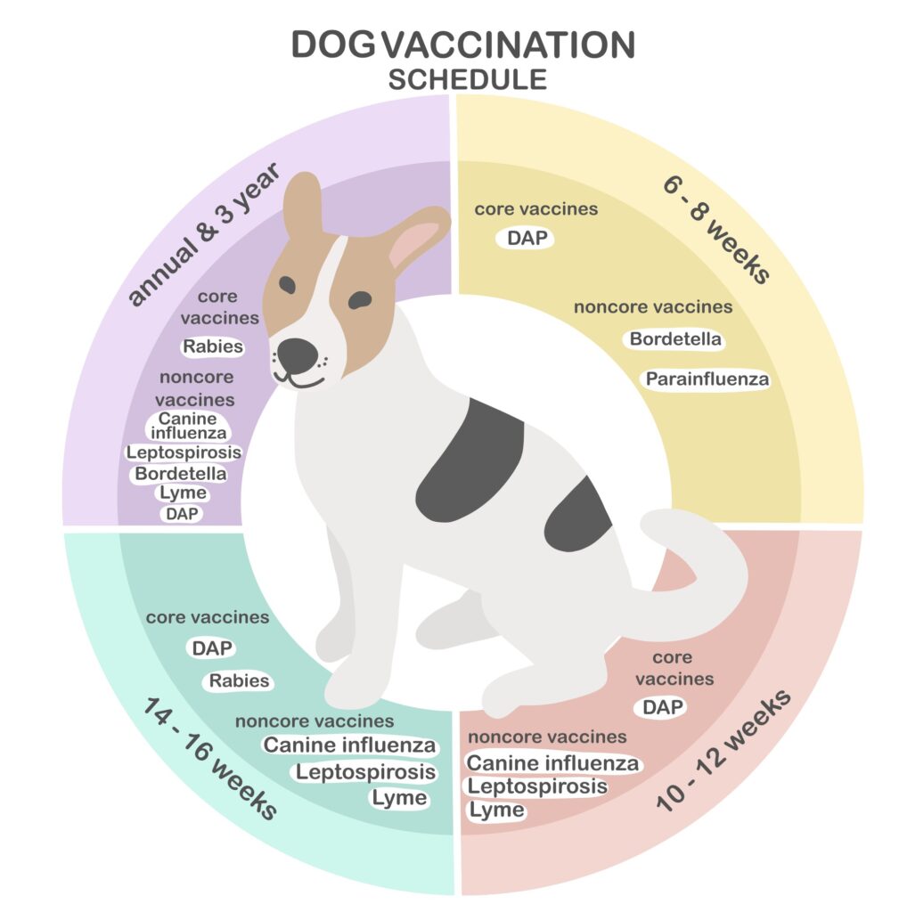 do dogs need yearly shots