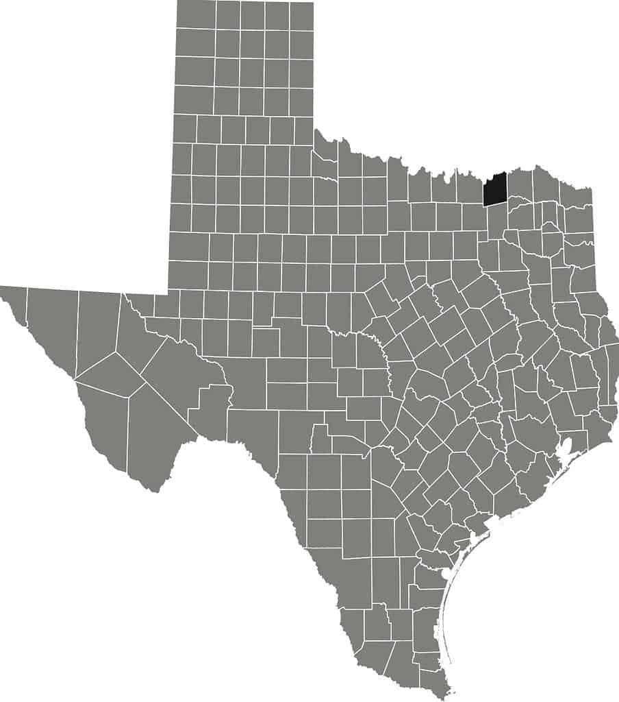Location map of the Fannin County of Texas, USA stock illustration