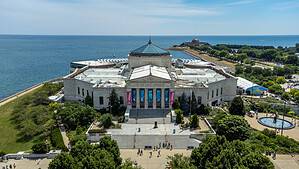 Shedd Aquarium in Chicago: Best Time to Visit and 5 Coolest Animals to See Picture