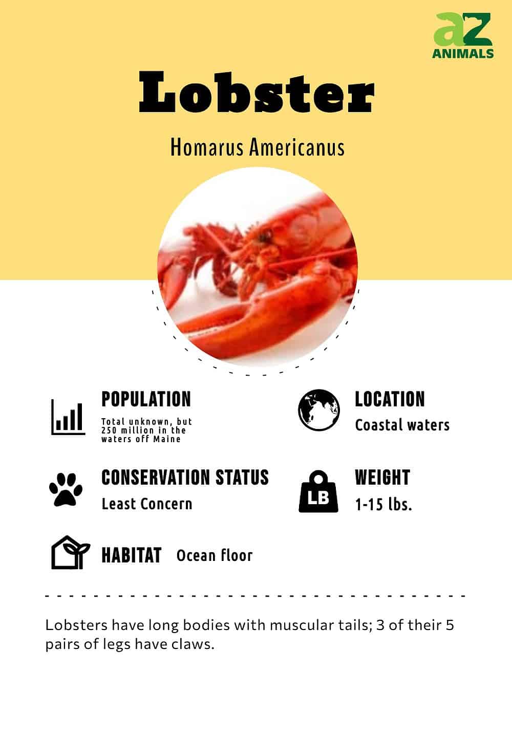 Lobster, Definition, Habitat, Diet, Species, & Facts