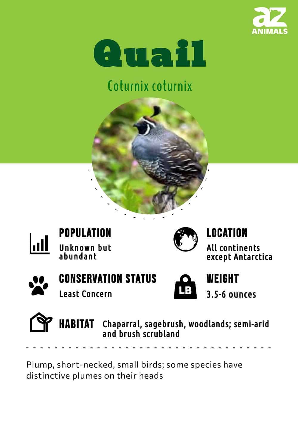 thesis title about quail