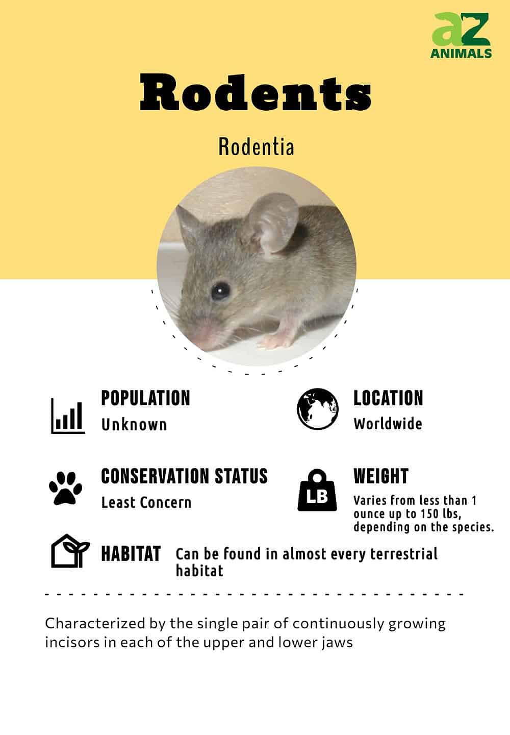 Lemming, Definition, Size, Habitat, & Facts