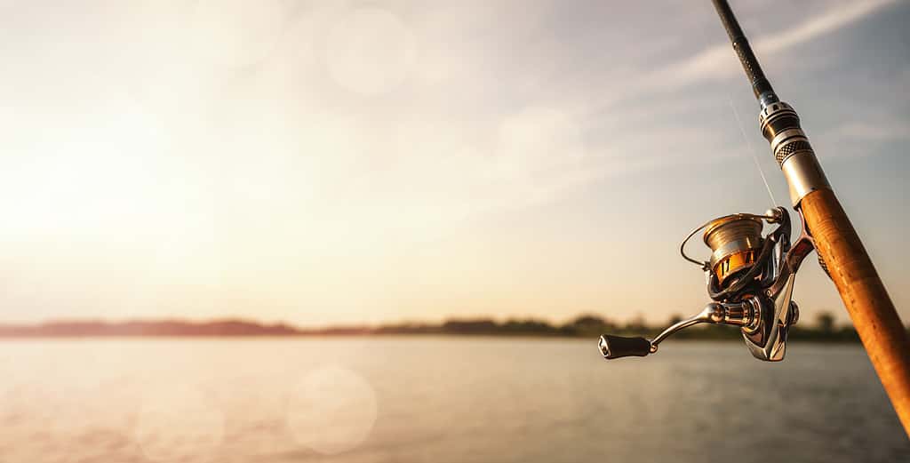A fishing rod during the sunset at the lake.