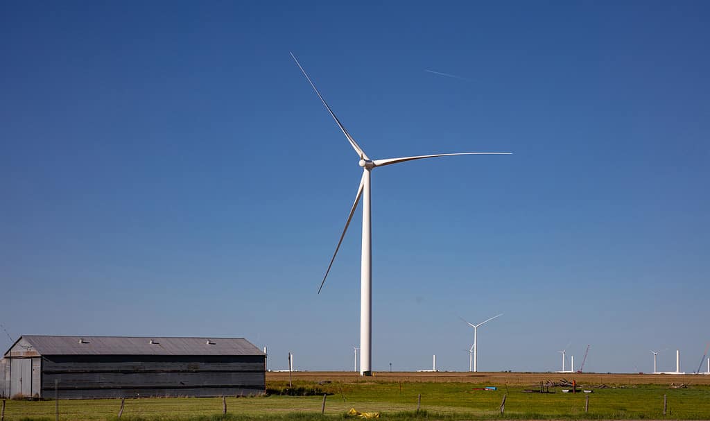 New Mexico wind farm