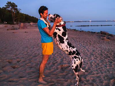 A The 15 Most Pet-Friendly Travel Destinations (or Cities)