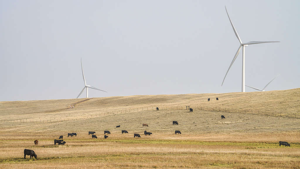 Wyoming wind farm
