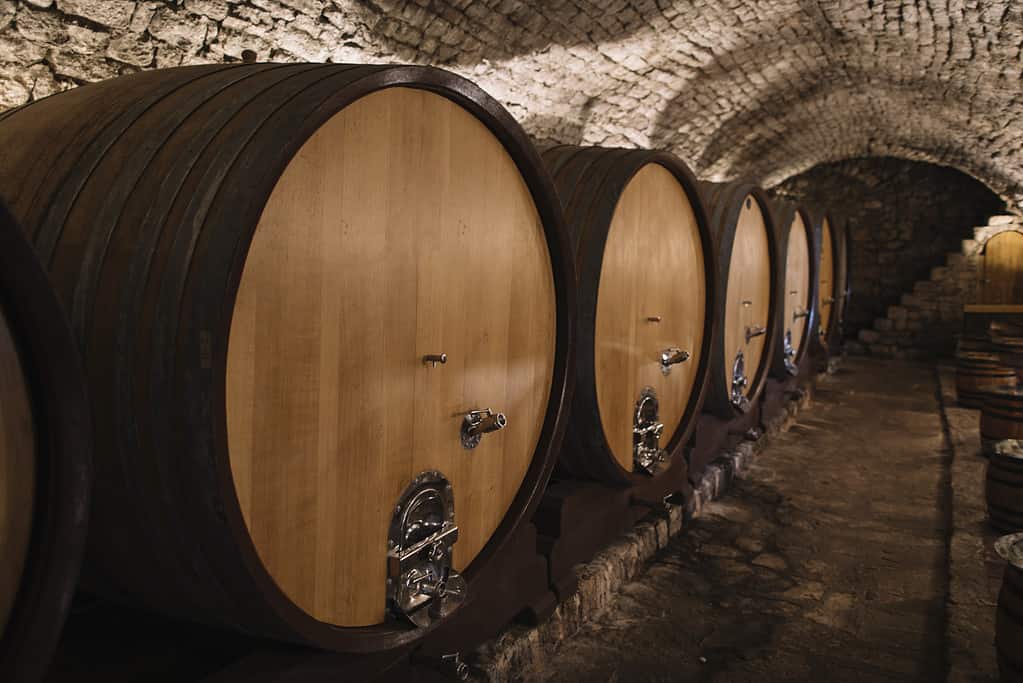 Wine cellar with wine barrels in a row.