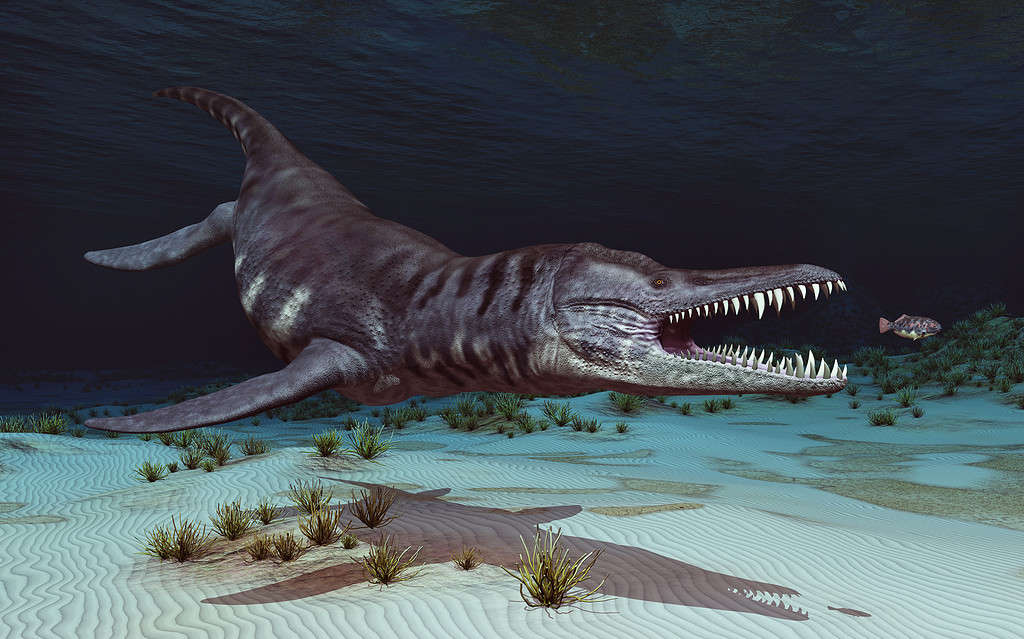 Prehistoric marine reptile Liopleurodon