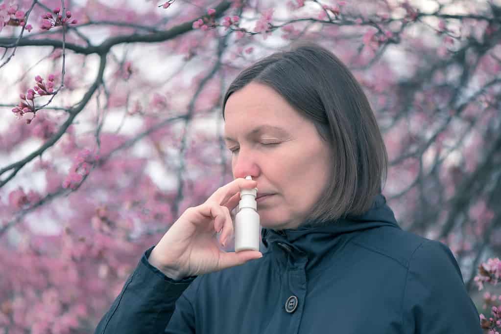 Allergy nasal spray