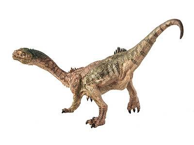 Chilesaurus Picture