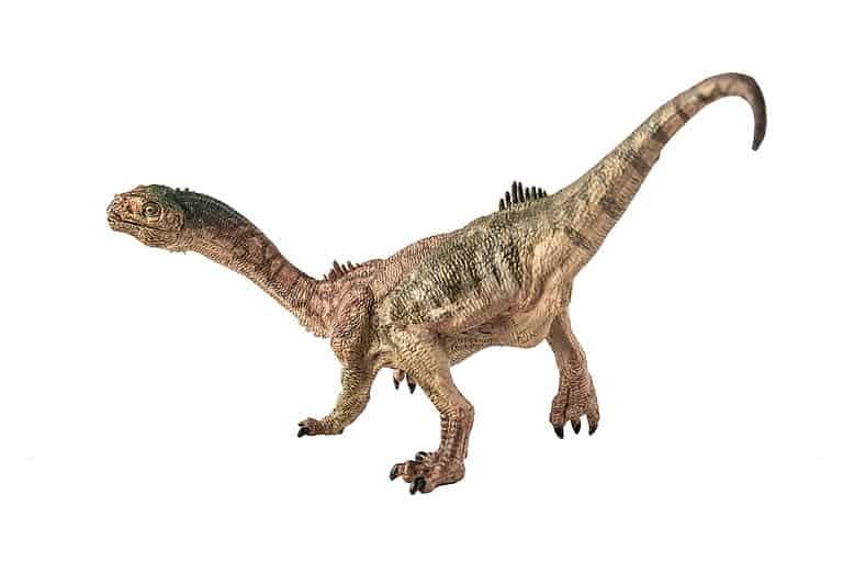 Chilesaurus diegosuarezi dinosaur