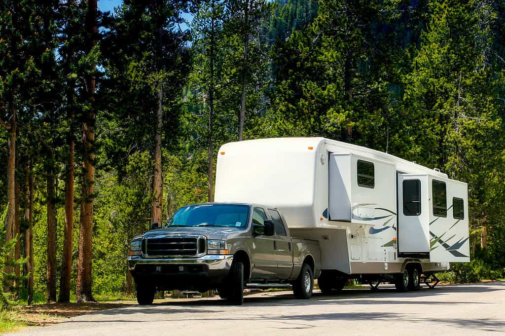 Camper Trailer, Pick-up Truck, Vehicle Trailer, Road, Forest