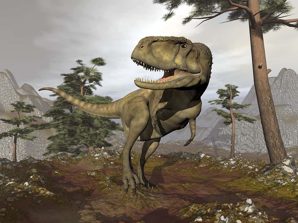 Abelisaurus dinosaur