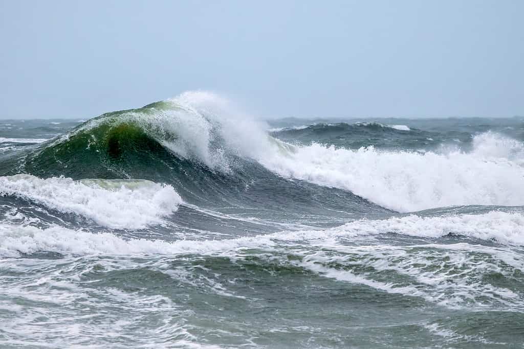 A swell about to break during a late winter Nor'Easter. Salisbury, Massachusetts.