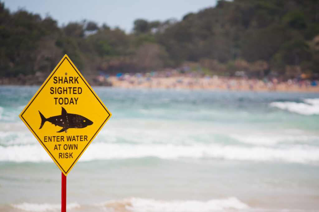 A sign on Manly beach Australia warns of a shark sighting