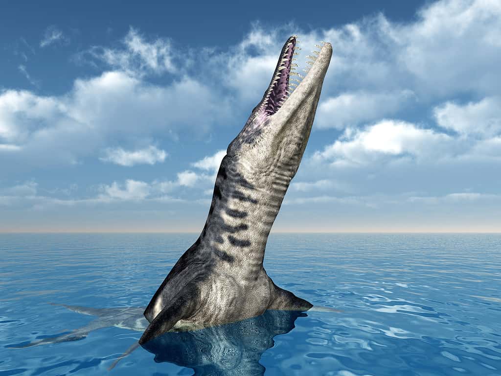 Liopleurodon