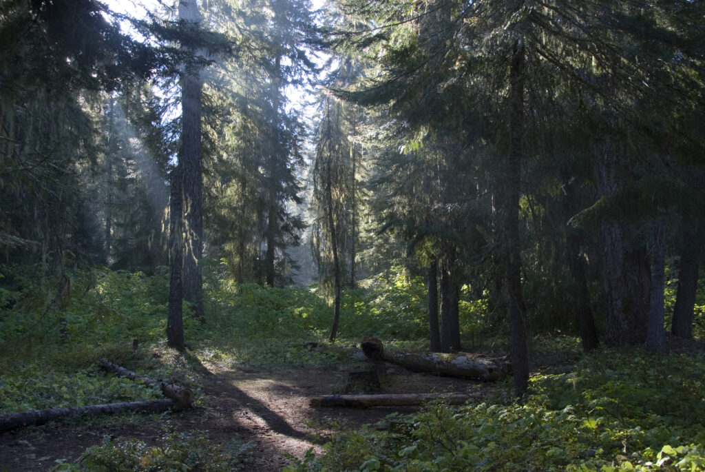 Okanogan-Wenatchee National Forest