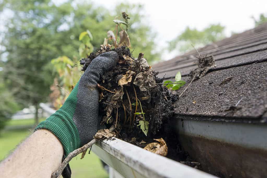 Cleaning gutters