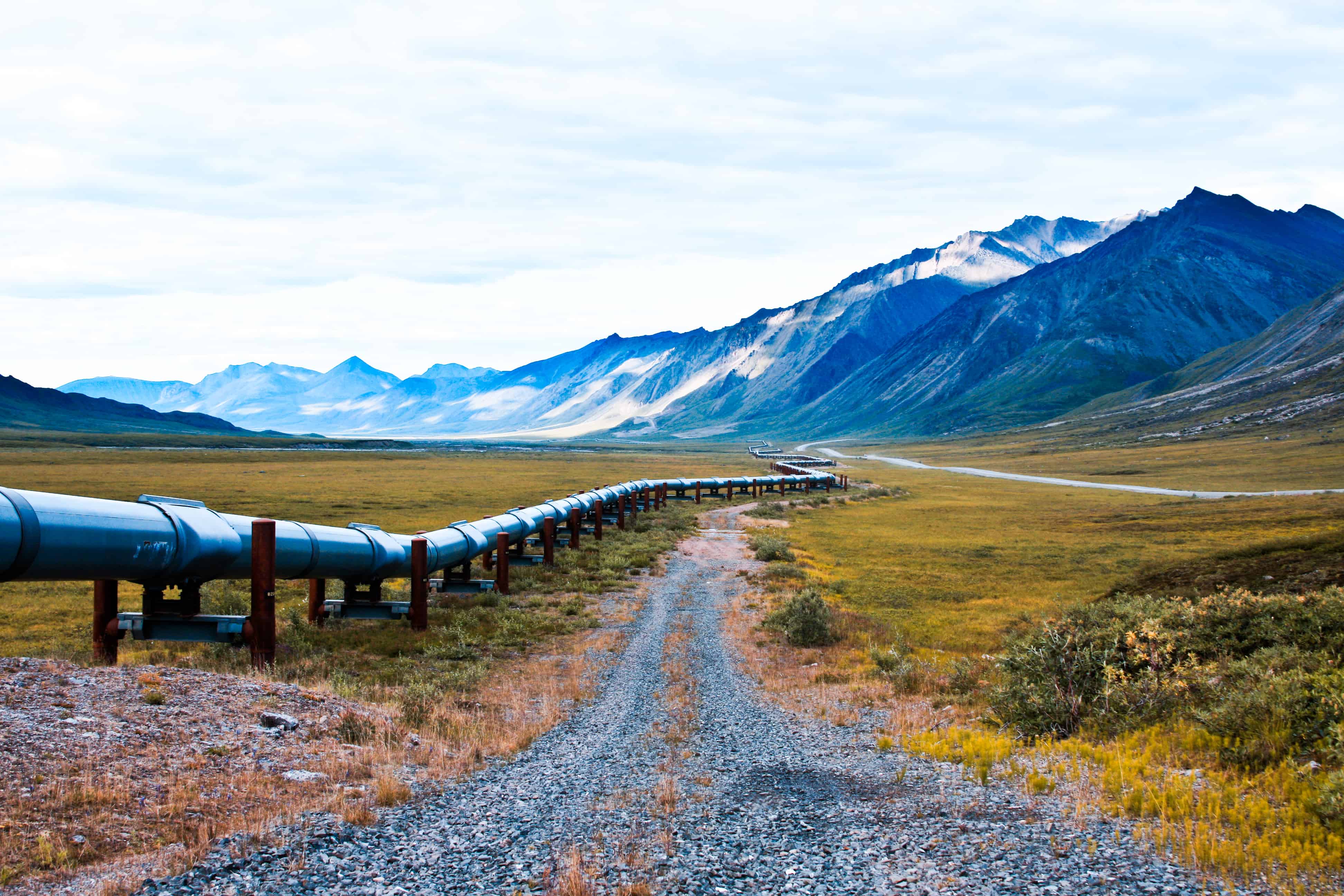 Alaskan Pipeline Condom