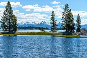 The 3 Most Snake-Infested Lakes in Yellowstone Picture