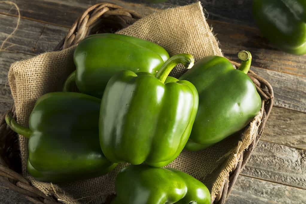 Green bell peppers