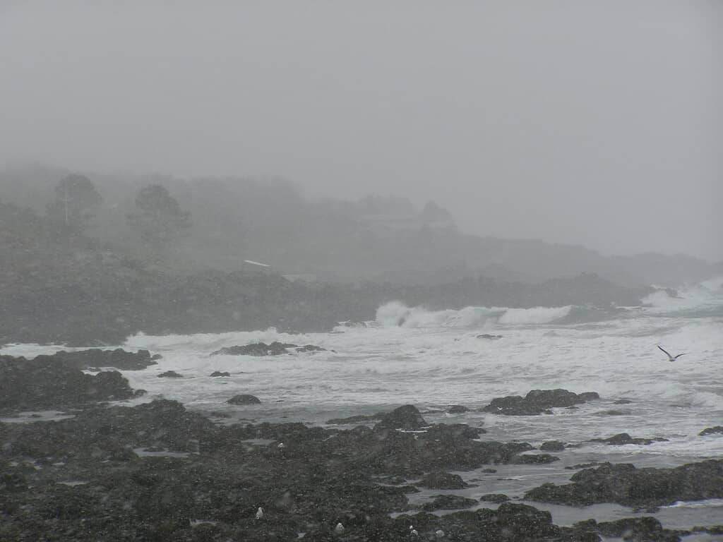 Nor'easter on the coast of Maine