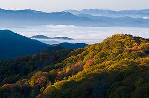 The Top 5 Must-Visit Hiking Trails in the Great Smoky Mountains Picture