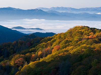 A The Top 5 Must-Visit Hiking Trails in the Great Smoky Mountains