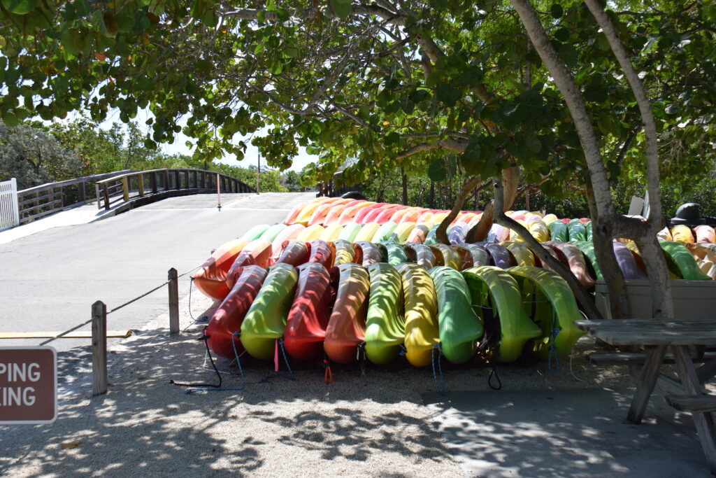 Row of colorful kayaks at the John Pennekamp Coral Reef State Park