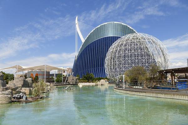 L'Oceanografic is one of the most stunning aquariums in the world and is located in Valencia, Spain.
