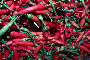10 Types Of Hot Peppers – All Ranked Picture